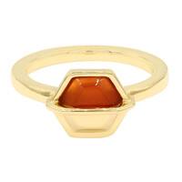 Zilveren ring met een carneool