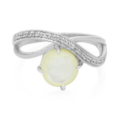 Zilveren ring met een Abalone schelp
