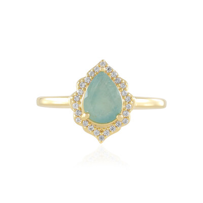 Zilveren ring met een Grandidieriet