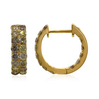 Gouden oorbellen met SI2 Fancy Diamanten (CIRARI)