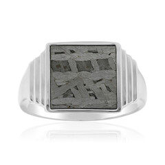 Zilveren ring met een Aletai meteoriet