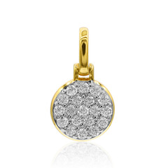 Gouden hanger met IF Diamanten (D)