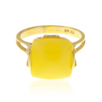 Gouden ring met een Baltische barnsteen