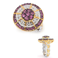 Zilveren ring met rhodolieten (Gems en Vogue)