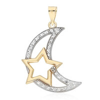 Gouden hanger met een PK (L) Diamant