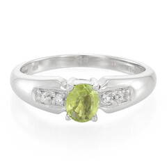 Zilveren ring met een Paraiba toermalijn