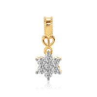 Gouden hanger met IF Diamanten (D)