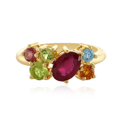Zilveren ring met een Madagaskar Robijn
