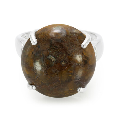 Zilveren ring met een dinosaurus kwarts