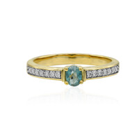 Gouden ring met een Grandidiriet (AMAYANI)