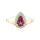 Zilveren ring met een umbaliet