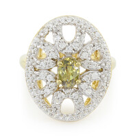 Zilveren ring met een Andradite Garnet