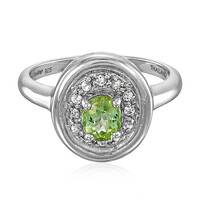 Zilveren ring met een Paraiba toermalijn