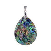 Zilveren hanger met een Abalone schelp