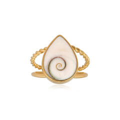 Zilveren ring met een Shiva oog (Bali Barong)