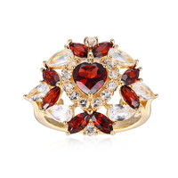Zilveren ring met een Mozambique granaat