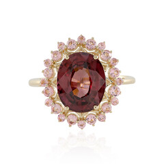Gouden ring met een Mahagoni Zirkoon