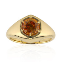 Gouden ring met een sfaleriet