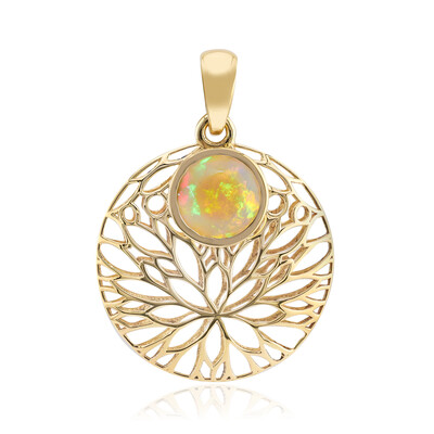 Gouden hanger met een AAA Welo-opaal (Ornaments by de Melo)