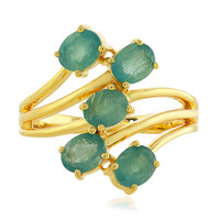 Zilveren ring met Grandidirieten