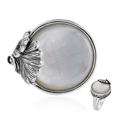 Zilveren ring met een parelmoer (Art of Nature)