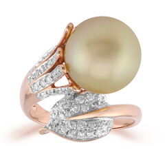 Gouden ring met een Gouden Kabira Zuidzee Parel (TPC)