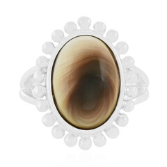Zilveren ring met een Shiva oog