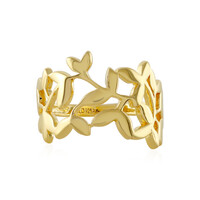 Zilveren ring