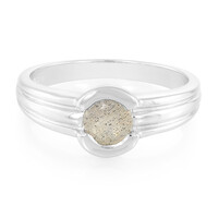 Zilveren ring met een spectroliet