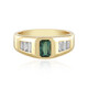 Zilveren ring met een groene Benedito toermalijn (Adela Silber)