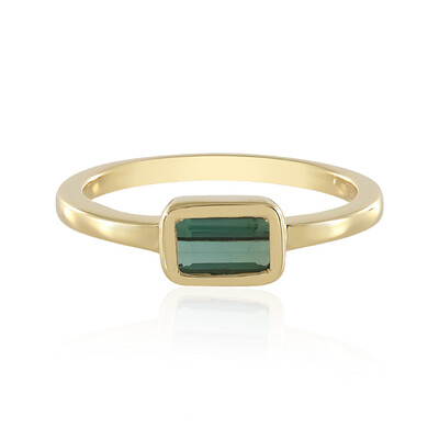 Zilveren ring met een groene Benedito toermalijn (Adela Silber)