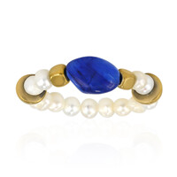 Ring met een kyaniet (TPC)
