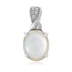 Zilveren hanger met een Abalone schelp