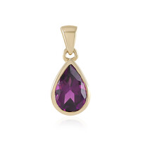 Gouden hanger met een magenta granaat