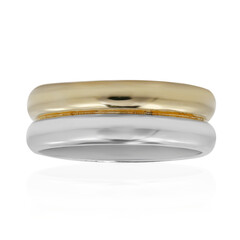 Zilveren ring