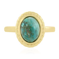 Zilveren ring met een Chrysokoll