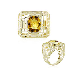 Gouden ring met een gouden beril (Ornaments by de Melo)