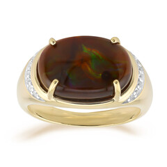 Gouden ring met een vuur agaat