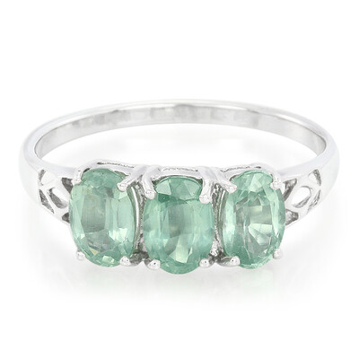 Zilveren ring met Munt Kyanieten