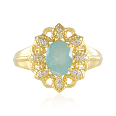 Zilveren ring met een Grandidieriet