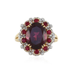 Gouden ring met een AAA Umbaliet (D'vyere)