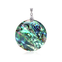 Zilveren hanger met een Abalone schelp