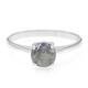Zilveren ring met een spectroliet