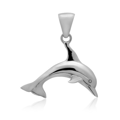 Zilveren hanger