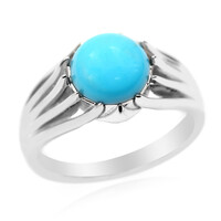 Zilveren ring met een Sleeping Beauty Turkoois (Anne Bever)