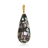 Zilveren hanger met Abalone schelpen