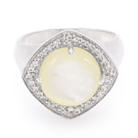 Zilveren ring met een Abalone schelp
