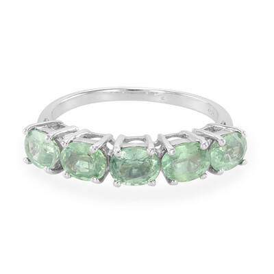 Zilveren ring met Munt Kyanieten