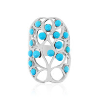 Zilveren ring met Sleeping Beauty Turkooisen (Anne Bever)
