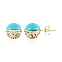 Gouden oorbellen met Sleeping Beauty Turkooisen (Ornaments by de Melo)